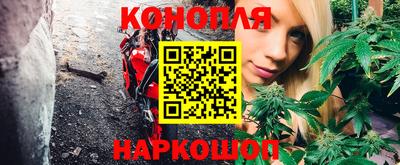 прущие крисы Донской
