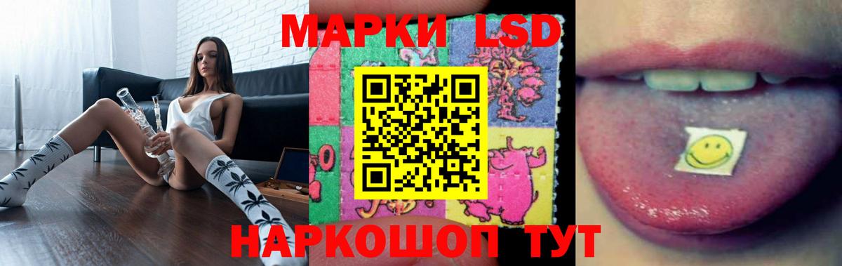 LSD-25 экстази ecstasy  Вход с VPN  Камышлов  Лсд 25 экстази ecstasy 