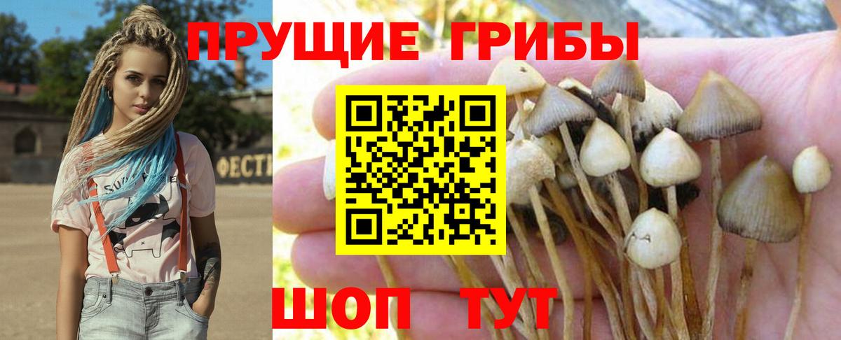  Cocaine Камышлов